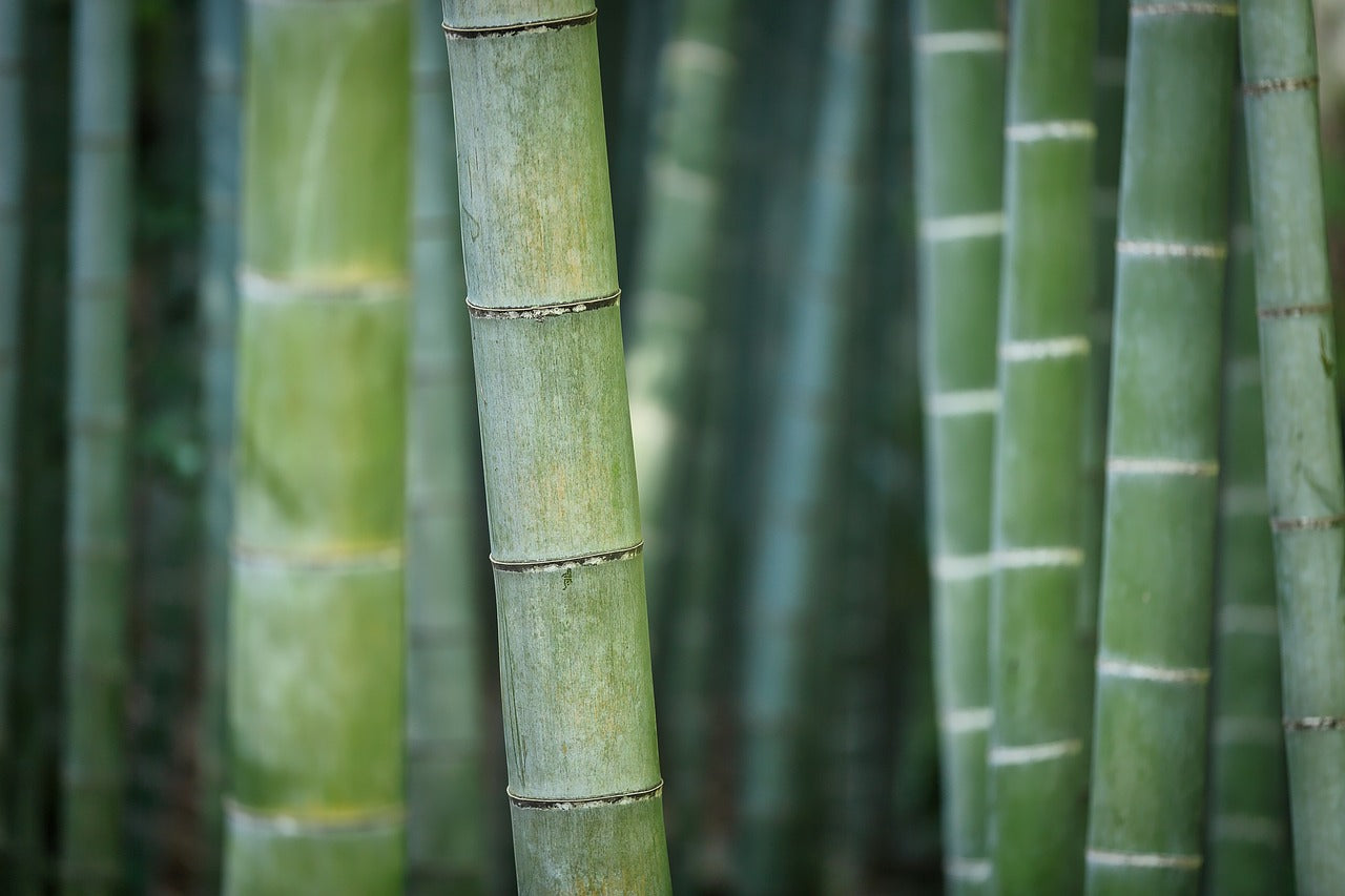 bamboe compressiekousen